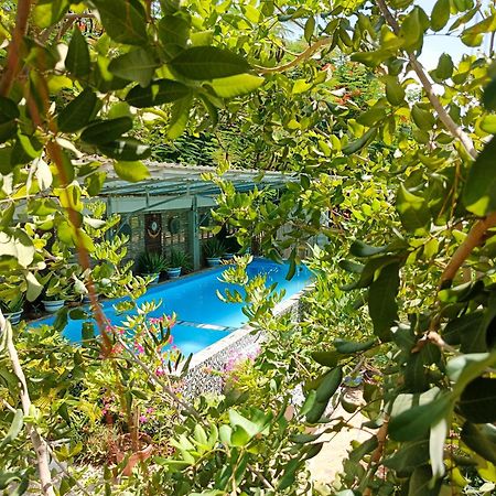 Silk Island Homestay Phnom Penh Exterior photo